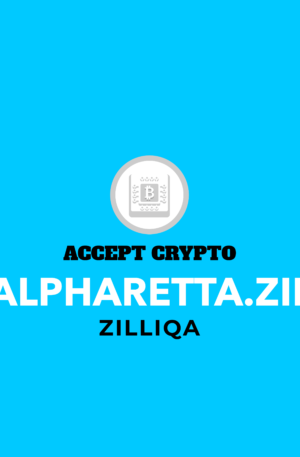 Alpharetta.zil Blockchain Domain Development