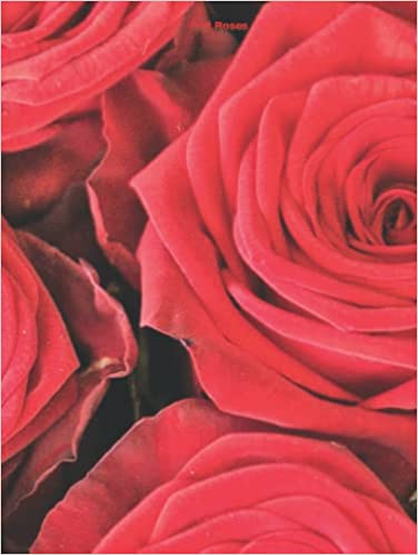 RED ROSES A BLANK BOOK JOURNAL Uply Media Inc