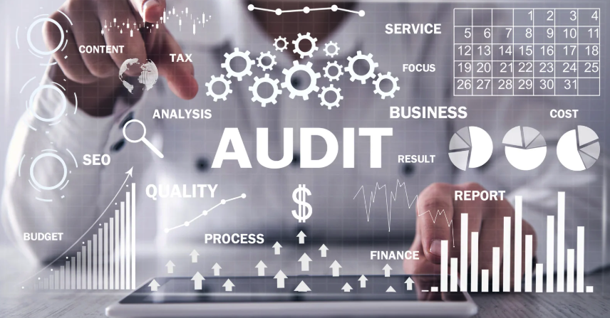 Revolutionizing Government Audits with AI Technology